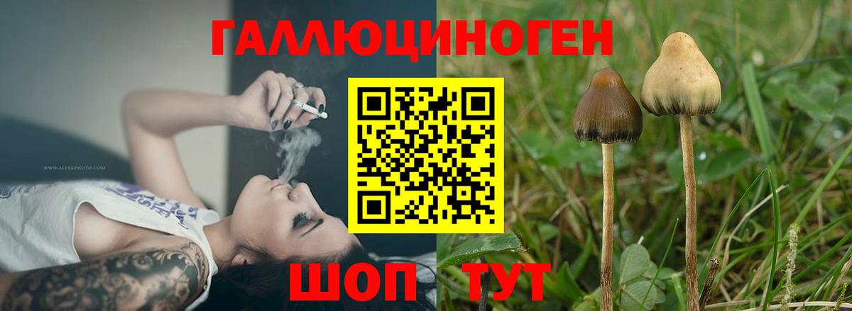 Ухта  Галлюциногенные грибы Psilocybe  Вход с VPN 